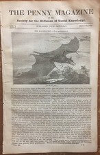 Kalong Bat Large Flying Fox 1834 Sueno's Stone Pillar Scotland-Nafplio Greece picture