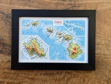 Hawaii 🏝️ 3D Topographical Raised Relief Map Framed Wall Art Travel Gift Decor picture