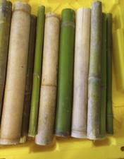 5 Bamboo 12