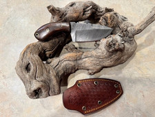 Super Sweet caper / hunting knife Damascus Steel w/Rosewood handle & nice sheath picture