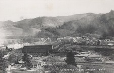 Myrtle Creek Oregon lumber mill log pond view 1940s - RPPC Photo Postcard picture