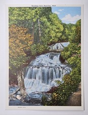 Vintage 40s Wagner Falls Munising Michigan Baby Jumbo Souvenir Postcard EC Kropp picture