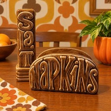 Vintage 1976 Napkins Retro Ceramic Holder And Salt Shaker HTF Brown Kitschy  picture