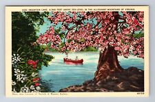 Alleghany Mountains VA-Virginia, Mountain Lake, Antique, Vintage Postcard picture