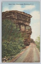 Atq/Vtg Post Card Sam's Point Shawangunk Mountains N.Y. N259  picture
