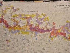 Color-coded Vignobles de Bourgogne wine map focusing on Côte de Beaune region picture