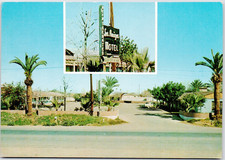Los Amigos Motel Brawley California Hotel Inn 1960s Postcard picture
