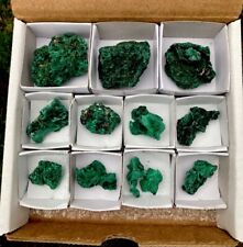 12 PCS Velvety Fibrous MALACHITE Crystal Mineral Bulk Flat Lot - Kasompe, CONGO picture