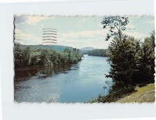 Postcard Androscoggin River near Bethel Maine USA picture
