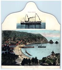 1908 Multiview Steamer Cabrillo & Avalon Catalina Island California CA Postcard picture