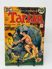 Tarzan #212 DC Comics Joe Kubert Cover Bronze Age 1972 picture