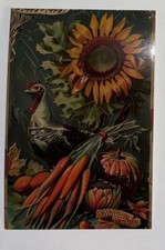 Thanksgiving Glossy Unused Postcard Greeting Card 4 x 6” Fall Wall Decor picture