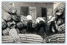 c1910's How We Do Things At Albert Lea Minnesota MN Exaggerated Corn Postcard picture