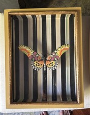 Mackenzie Childs Wall Art Framed Butterfly Shadow Box DiaORama 12x16 Not Used picture