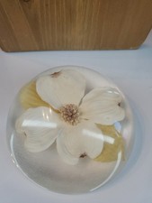Vintage W Rolfe Lucite Paperweight Real White Dogwood Flower Blossom Signed MCM picture