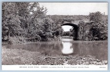 1930-40s RPPC BRIDGE over CREEK ILLINOIS WHITE PINES FOREST PARK CHILDS POSTCARD picture