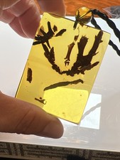 Genuine 99 MYO Burmite Amber Pendent picture