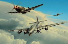 Wounded Warrior by Richard Taylor aviation art signed by two WW2 American pilots picture