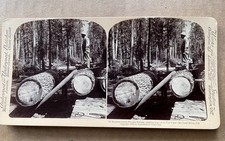 1902 Underwood Stereoview McCloud River California Logging Train Flat Car Mint picture