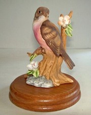 VTG Aldon Vanished Species Porcelain “Lord Howe island Vinous-Tinted Blackbird” picture