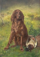 Oil painting animal dog Irish-Setter-with-a-Duck-Karl-Kristian-Uchermann canvas picture