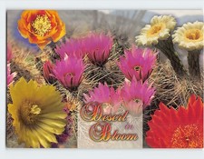 Desert in Bloom Arizona USA G-44489 picture