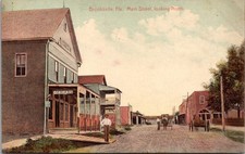 Brooksville Florida Main Street Looking North Antique Postcard picture