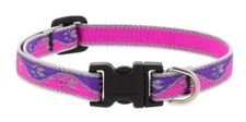 Lupine Reflective Small Dog Collar 1/2
