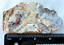 Stunning Galaxy Jasper 