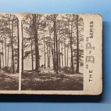 Friars Crag Stereoview C1900 Cumbria Derwent Lake View picture