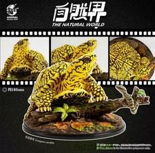 Animal Heavenly Body Common Box Turtle Terrapene Carolina Figurine Limited Model picture