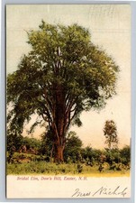 Vintage Bridal Elm Dow's Hill Exeter NH Postcard 1908 Posted picture