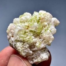 121 CT Terminated Natural Tourmaline Crystals Bunch Specimen From Afghanistan picture