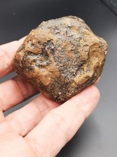 Meteorite Chondrite unclassified NWA - 164,47g /6,2cm - French old collection picture