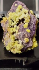 ✨️Rare Yellow Carlhintzeite On Purple Fluorite - Qinglong, Guizhou, China✨️ picture