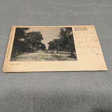 ca1905 Main Street Hendersonville NC Postcard Greetings Pub. Baker’s Art Gallery picture