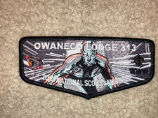 Boy Scout Owaneco 313 CT Silver Surfer 2013 Order Arrow OA Flap Patch Collection picture