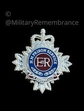 Her Majesty's Prison Service Bathstar In Remembrance Lapel Pin (C103) picture