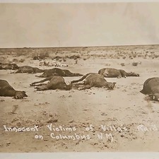 MEXICAN Revolution RPPC Colunmbus NM raid massacre 9 deceased innocent horses  picture