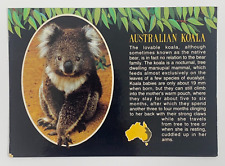 Australian Koala Postcard Posted 1993 picture