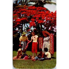 Lei Seller And Helpers Beneath Royal Poinciana Tree 1957 Vintage Postcard SP10-2 picture