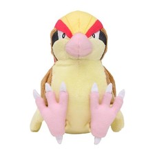 Japanese PC Plush Toy Doll Cute 14 cm Pidgeot Children Christmas Birthday Gift picture