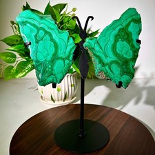 2.73lb Natural malachite  Butterfly Wings Crystal Healing Reiki Art+shelf picture
