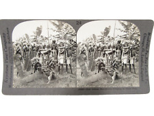Rare Keystone View Company Stereo View Card New Guinea Man Eaters Cannibals picture