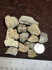 Damele Turquoise Rough 101g Natural Rare Nevada Gemstone Damale Nuggets picture