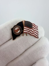 2013 Minnesota Twins American Flag Crossed-flags Pin - ProSpecialties picture
