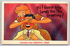 A666 Vtg Postcard Crofton Nebraska Humorous Greeting Greetings Card Welcome picture
