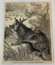 1879 magazine engraving ~ THE FOX AND THE DUCKS picture