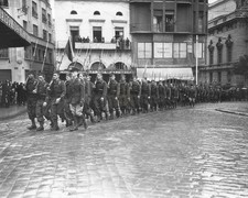 North Africa Liberation by French Troops WWII 8x10 Glossy Photo Print HT41362133 picture