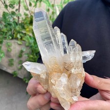 425g Natural Clear White Quartz Crystal Cluster Rough Healing Specimen picture